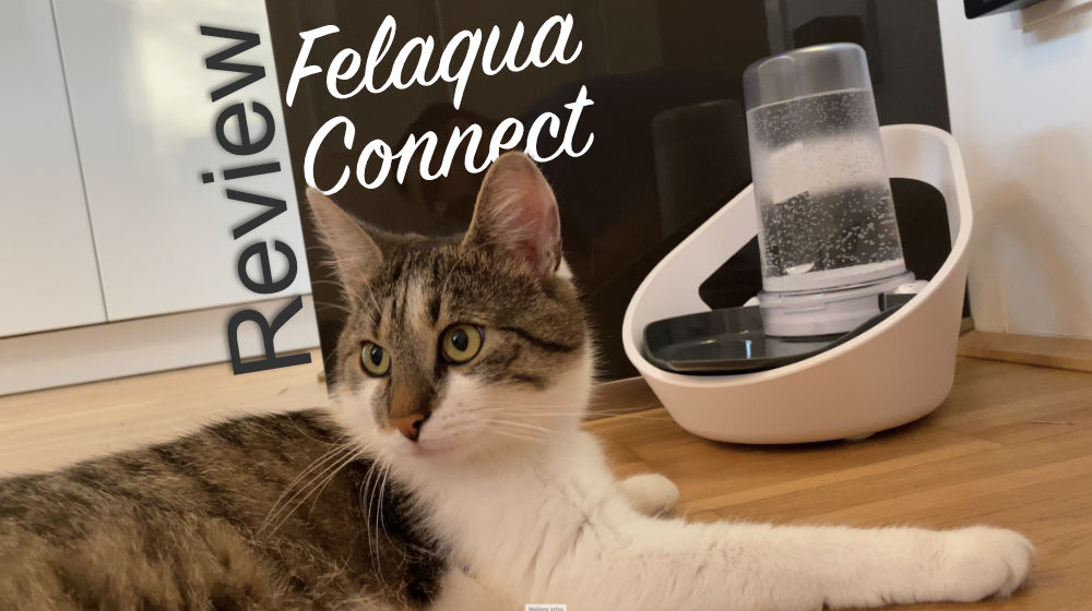 Alles für die Katz‘: Felaqua Connect liefert jederzeit frisches Wasser für die Katze!
